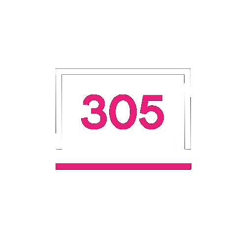Agencia de automatización 305 Web Designer